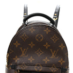 Monogram Palm Springs Backpack Mini