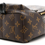 Monogram Palm Springs Backpack Mini