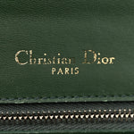 Ceramic Effect Deerskin Large Diorama Flap Bag Malachite Green