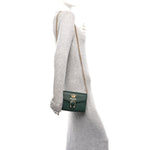 Calfskin Garden Dionysus Chain Wallet Emerald