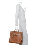 Chevre de Coromandel HAC Birkin 36 Gold