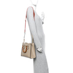 Textured Dollar Calfskin Web Small Diana Tote Bag Oatmeal Vintage Green