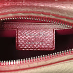 Snakeskin Ombre Medium Lady Dior Red White