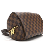 Damier Ebene Ribera Mini