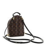 Monogram Palm Springs Backpack Mini