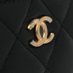 Lambskin Quilted Mini Pearl Crush Vanity Case With Chain Black