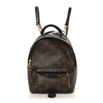 Monogram Palm Springs Backpack Mini