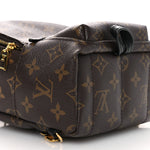 Monogram Palm Springs Backpack Mini