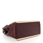 Calfskin Colorblock Mime Single Handle Bag Ruby Marine