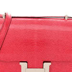 Lizard Constance 18 Rose Extreme