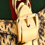 Snakeskin Mini Sylvie Chain Shoulder Bag Roccia
