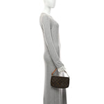Monogram Pochette Accessories
