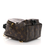 Monogram Palm Springs Backpack Mini