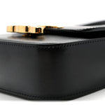 Shiny Calfskin Mini Triomphe Black