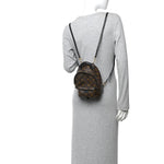 Monogram Palm Springs Backpack Mini