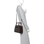 Snakeskin Monogram City Steamer Mini Brown