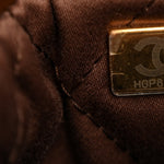 Shiny Calfskin Quilted Mini Chanel 22 Brown