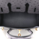 Ostrich Birkin 25 Gris Agate