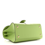 Box Calfskin PM Brillant Satchel Aloe