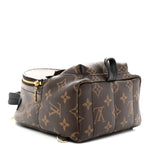 Monogram Palm Springs Backpack Mini
