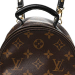 Monogram Palm Springs Backpack Mini