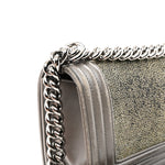 Galuchat Stingray Small Boy Flap Silver