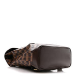 Damier Ebene Soho Backpack