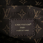 Suede Monogram Express MM Hazelnut