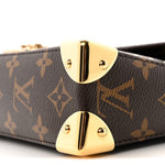 Monogram Trunkie