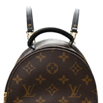 Monogram Palm Springs Backpack Mini