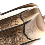 Lizard Constance 18 Ombre