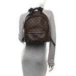Monogram Palm Springs Backpack MM