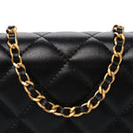 Lambskin Plexiglass Quilted Coco Love Wallet On Chain WOC Black
