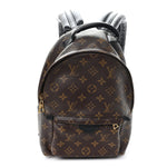 Monogram Palm Springs Backpack PM