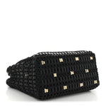 Raffia Calfskin The Studio Box Tote Black