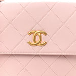 Calfskin Quilted Pearl Small About Pearls Hobo Bag Light Pink
