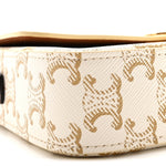 Canvas Calfskin Triomphe Shoulder Bag White