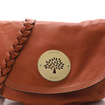 Soft Spongy Calfskin Daria Satchel Burnt Orange