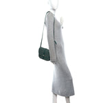 Goyardine Belvedere II PM Messenger Bag Green