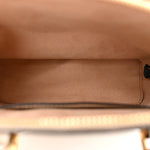 Textured Dollar Calfskin Mini Diana Dome Tote Bag White