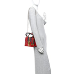 Calfskin Mini Sylvie Chain Shoulder Bag Hibiscus Red