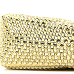 Satin Crystal Triangle Pouch Ananas