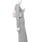 Damier Azur Pochette Accessories NM
