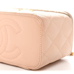 Lambskin Quilted Sweet Camellia Small Vanity Case With Chain Pink