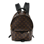 Monogram Palm Springs Backpack PM