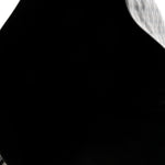 Goyardine Reversible Anjou PM Black