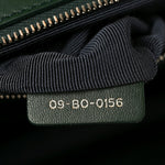 Ceramic Effect Deerskin Large Diorama Flap Bag Malachite Green