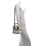 GG Supreme Monogram Textured Dollar Calfskin Mini Retro Interlocking G Tote Bag Beige Blue