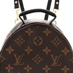 Monogram Palm Springs Backpack Mini