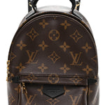 Monogram Palm Springs Backpack Mini